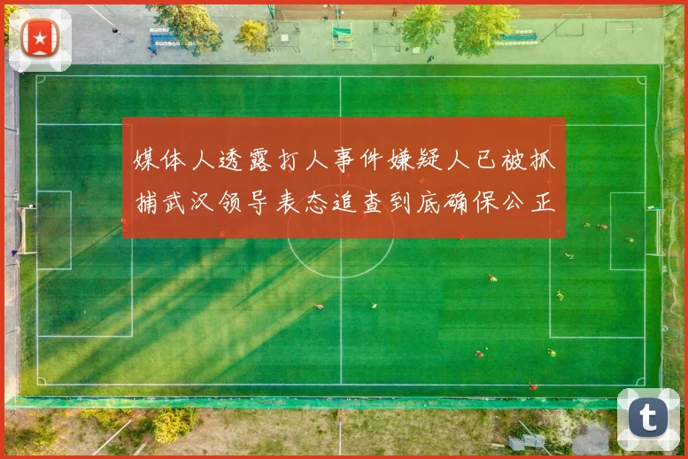 媒体人透露打人事件嫌疑人已被抓捕武汉领导表态追查到底确保公正处理