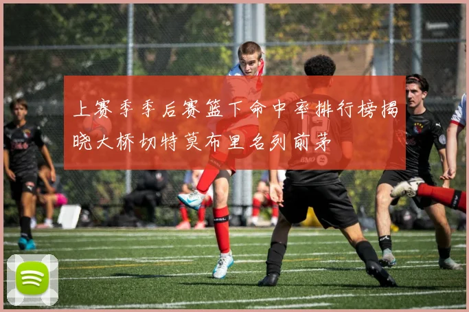 上赛季季后赛篮下命中率排行榜揭晓大桥切特莫布里名列前茅